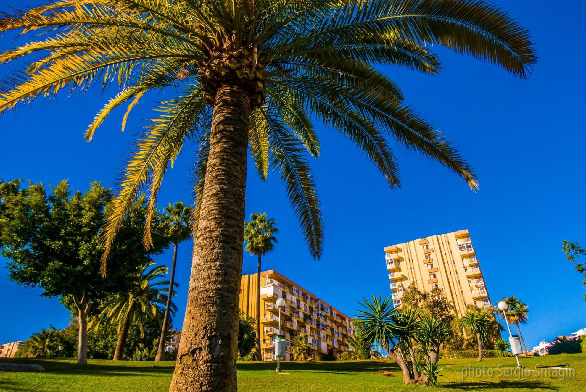 102 Estudio En Jupiter Apartmentos - Piscina Y Playa - Excelente Ubicacion 贝纳尔马德纳 外观 照片