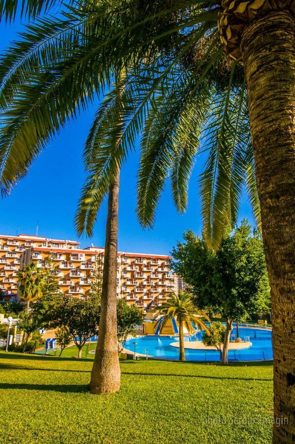 102 Estudio En Jupiter Apartmentos - Piscina Y Playa - Excelente Ubicacion 贝纳尔马德纳 外观 照片